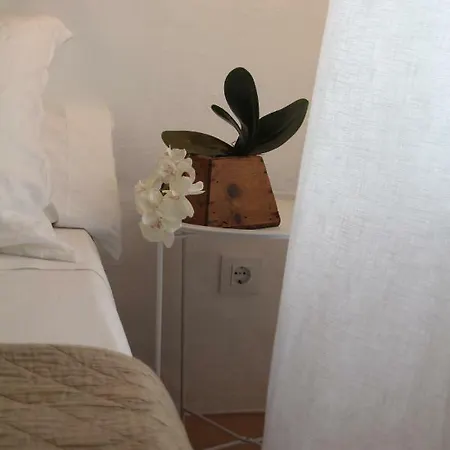 Casa Mica Hébergement de vacances *